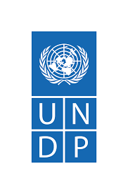 UNDP India