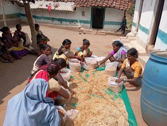 Mushroom Collection & Cultivation