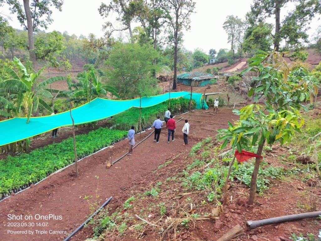 Tribal Development Fund (TDF)