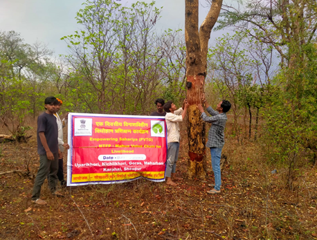 Sustainable (Non-Destructive) Harvesting Training- DST